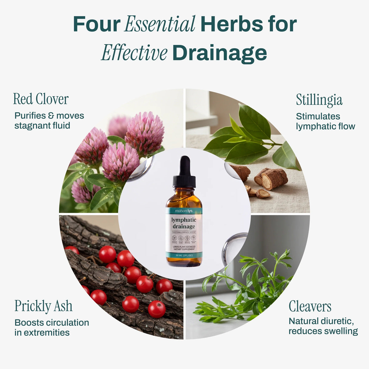 Four essential herbs